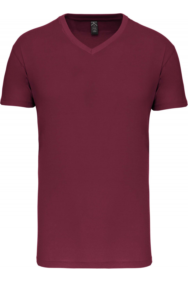 T-shirt Bio150 col V homme