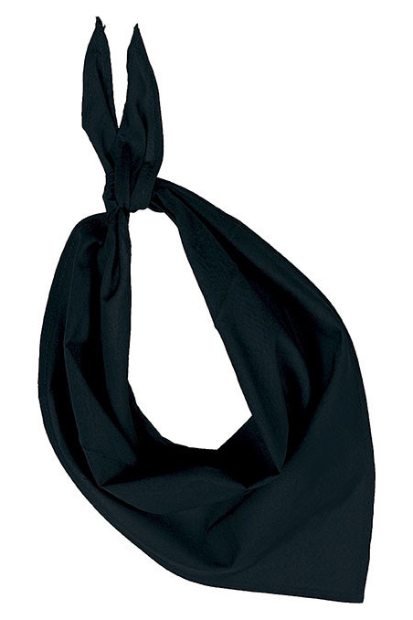 Fiesta - Bandana